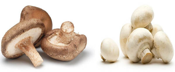 Button and Shiitake Mushrooms